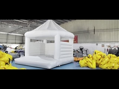 White castle with roof