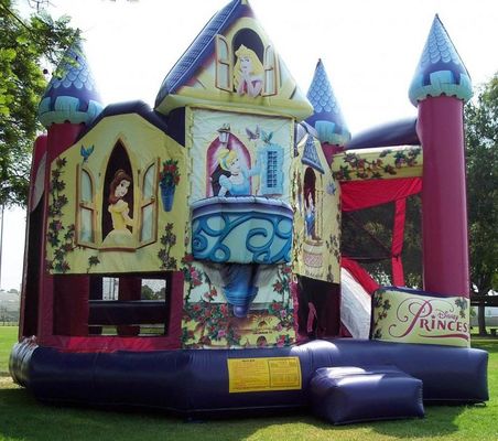 Maison à rebond de la princesse 5 en 1 Château gonflable rose avec glissement à vendre