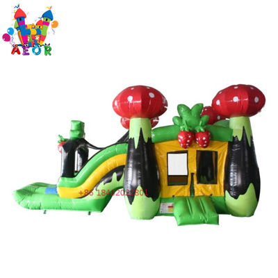 Commercial Bouncer Slider Combo Pour adultes dessin animé Princesse Bounce House Champignon Jumping Castle