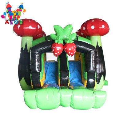 Commercial Bouncer Slider Combo Pour adultes dessin animé Princesse Bounce House Champignon Jumping Castle
