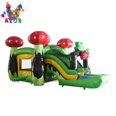 Commercial Bouncer Slider Combo Pour adultes dessin animé Princesse Bounce House Champignon Jumping Castle