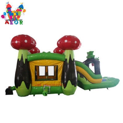 Commercial Bouncer Slider Combo Pour adultes dessin animé Princesse Bounce House Champignon Jumping Castle