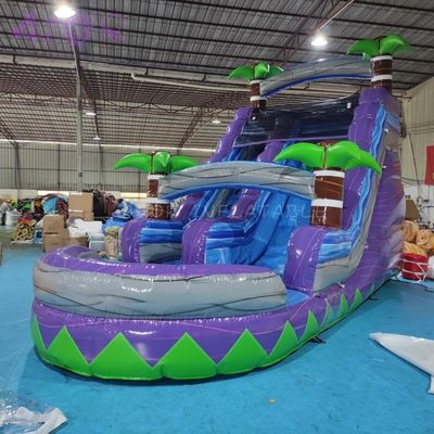 Glissière d'eau commerciale en PVC Palm Tree Glissière gonflable pour enfants Glissière gonflable avec piscine