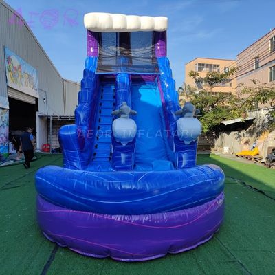 Commercial gonflable pour enfants Grand gonflable glissement d'eau palmier jardin glissement d'eau combiné avec piscine